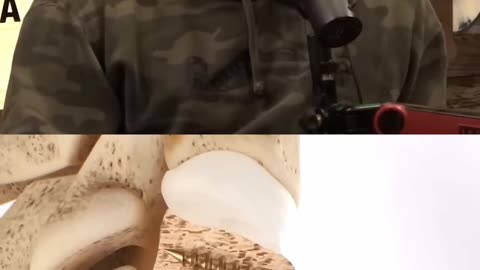 THE MOST DISRESPECTED UFC CHAMPION