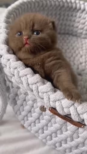 Real cuties 💜💙