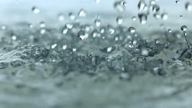 Dancing droplets of rain closely captured at Amazon forest