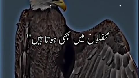Nice him🌷🌷🌷🌷🌷🌷