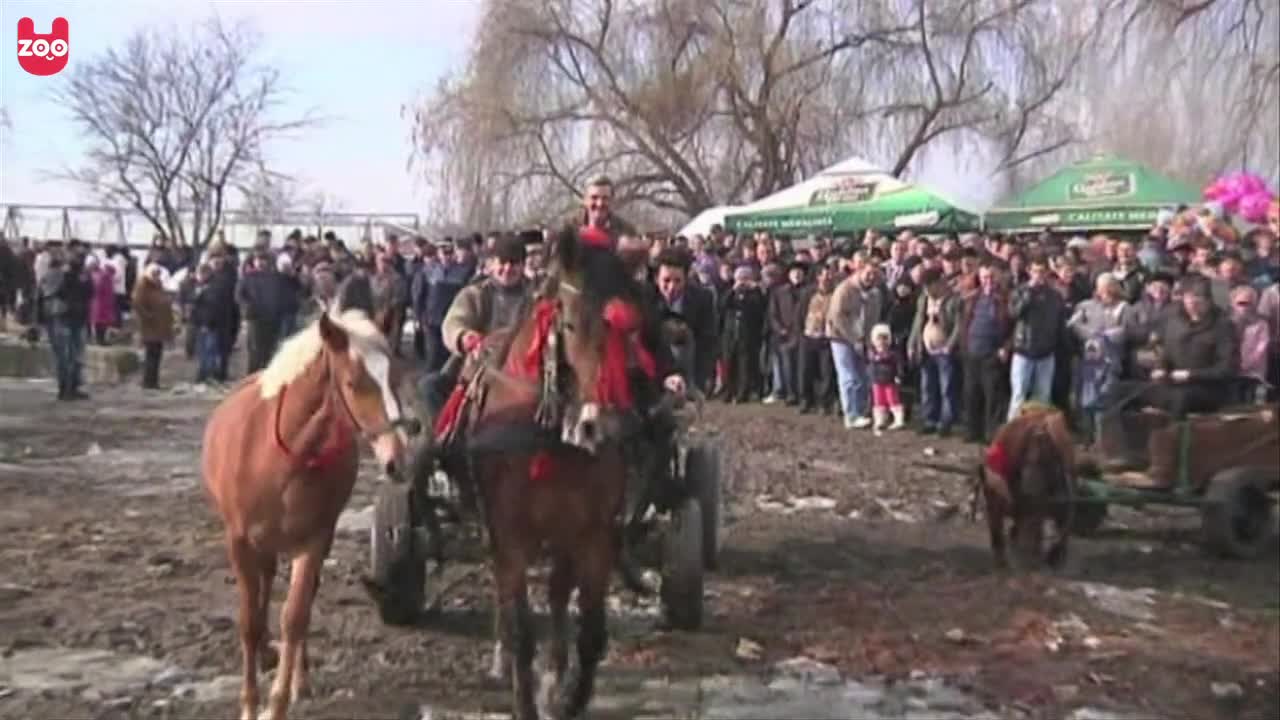 Romanian Horse Blessings