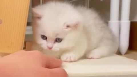 The look of it really makes my heart melt