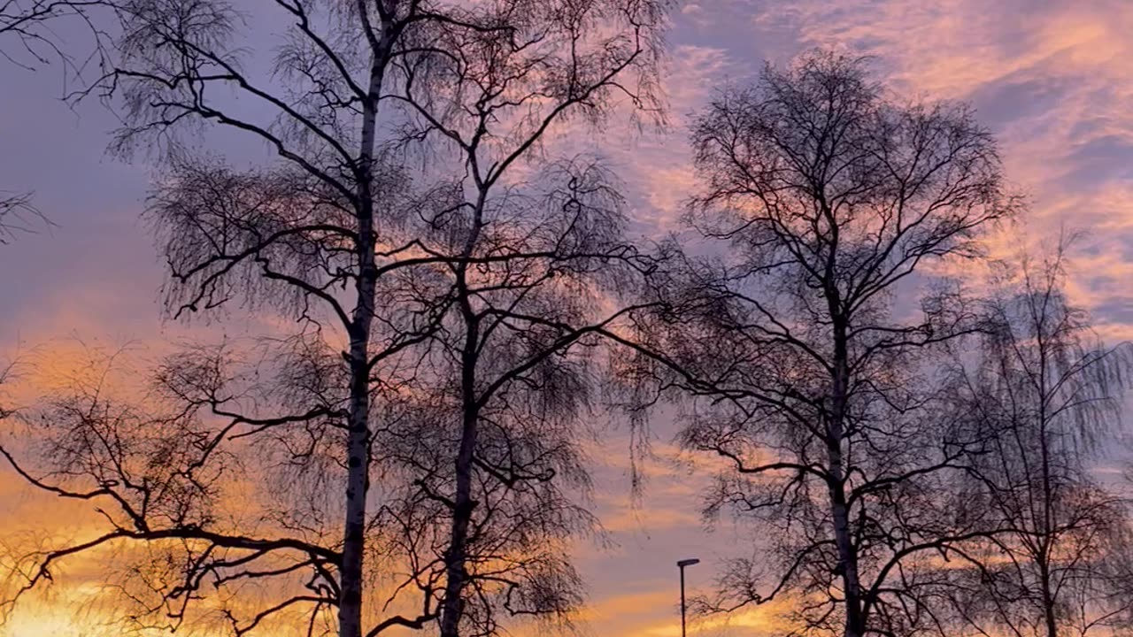 Beautiful Winter Sky