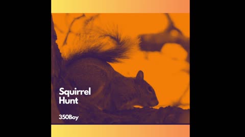 Squirrel Hunt - 350Boy
