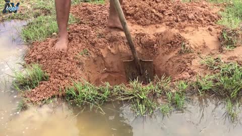 Bamboo fishing