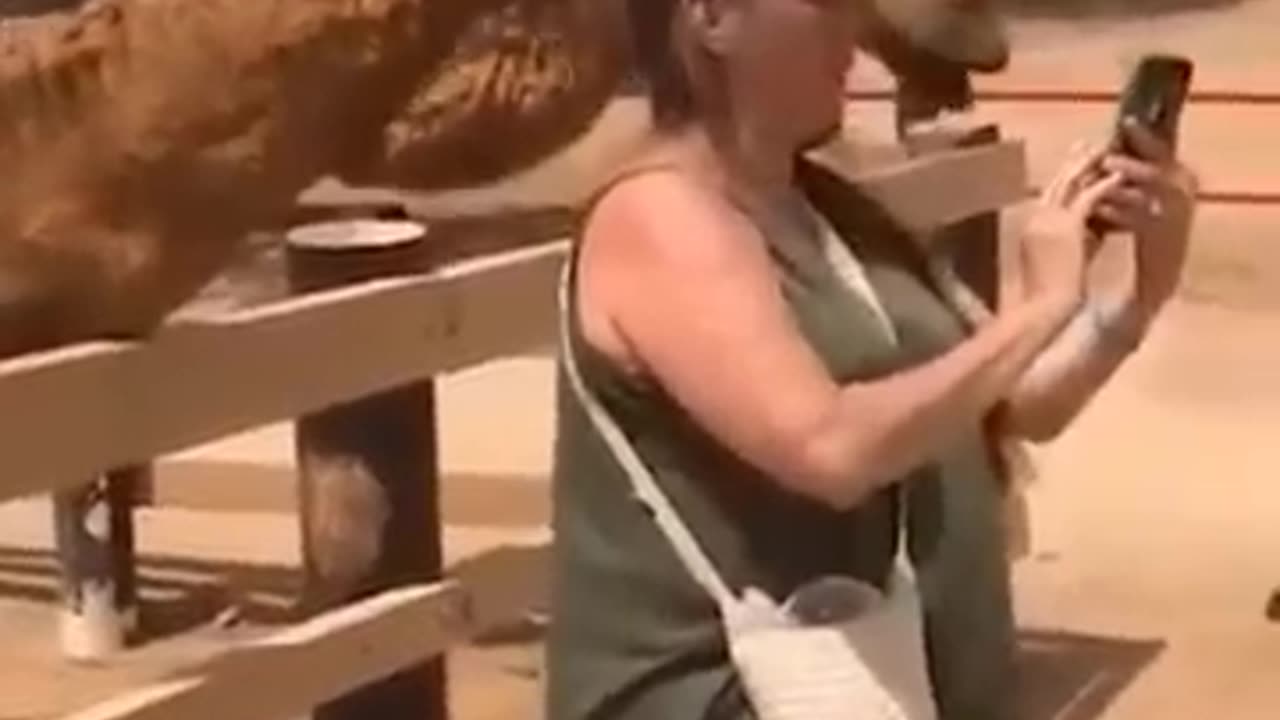 Funny animals,,🤣🤣🤣🤣