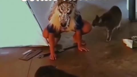 Assustando e Sendo Assustado...