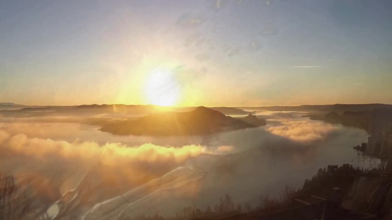 DREAM 53 WALK THE DOG