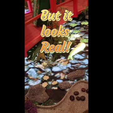 Your Eyes Can Deceive You!