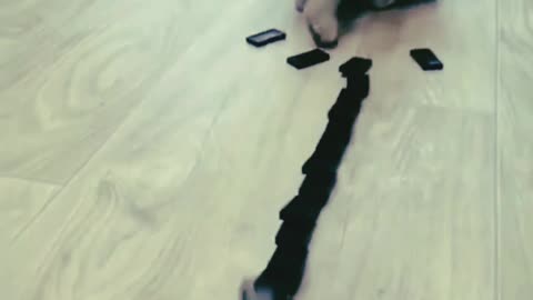 Cat Puzzle