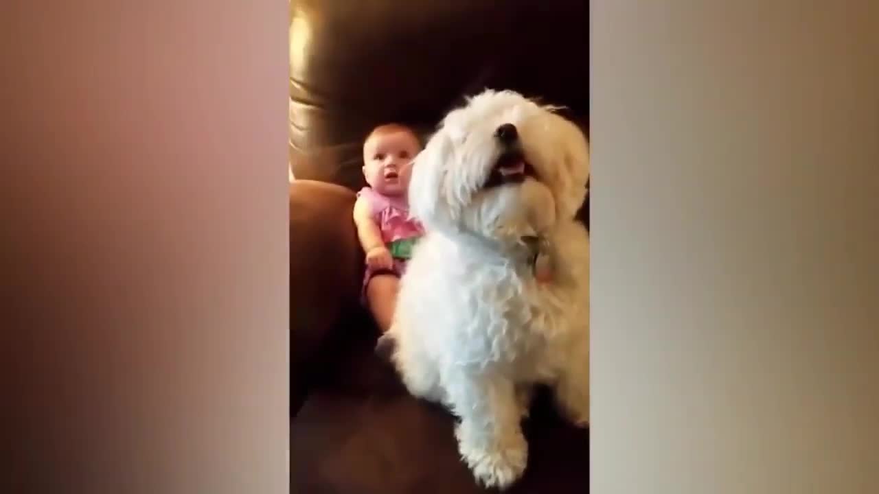 Baby and Dog in Sync