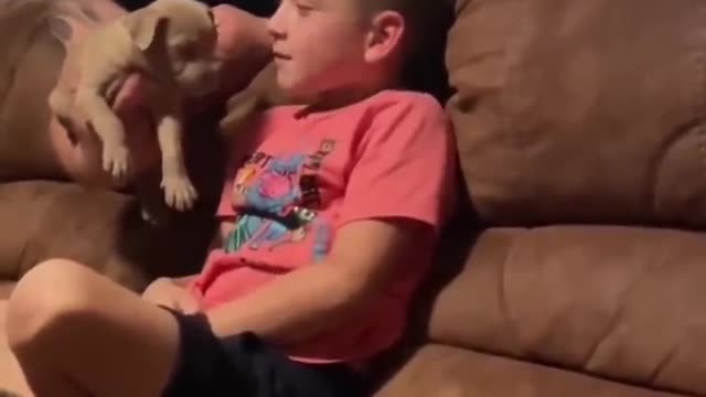 Boy gets so surprised by new puppy that he doesn’t think it’s real ❤️❤️