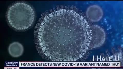 New covid variant IHU found in France