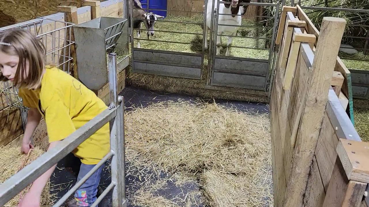 Pumping Water Out of the Goat Stalls