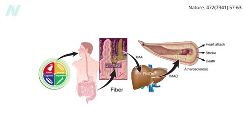 How to Cultivate a Healthy Gut Microbiome with Food