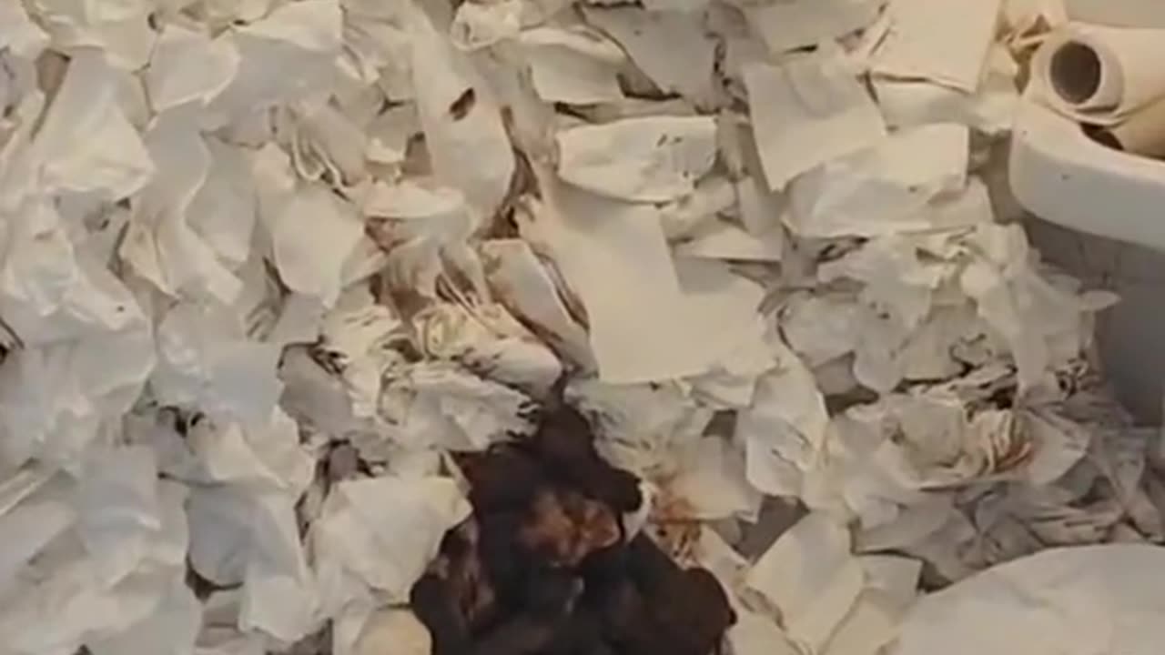 Have You Ever Seen A Restroom Blown Up Like This