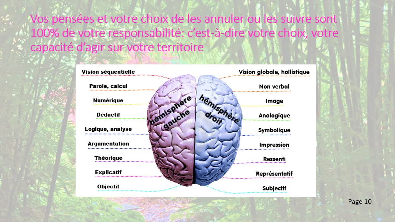 Neurosciences et lois universelles