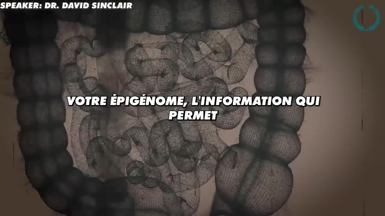 Dr David Sinclair «Faites le TOUS LES JOURS Pour Une Plus Longue Espérance De Vie l