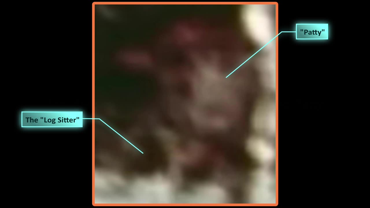 Patterson Gimlin Film - Possible Child Sasquatch In Motion Behind Patty