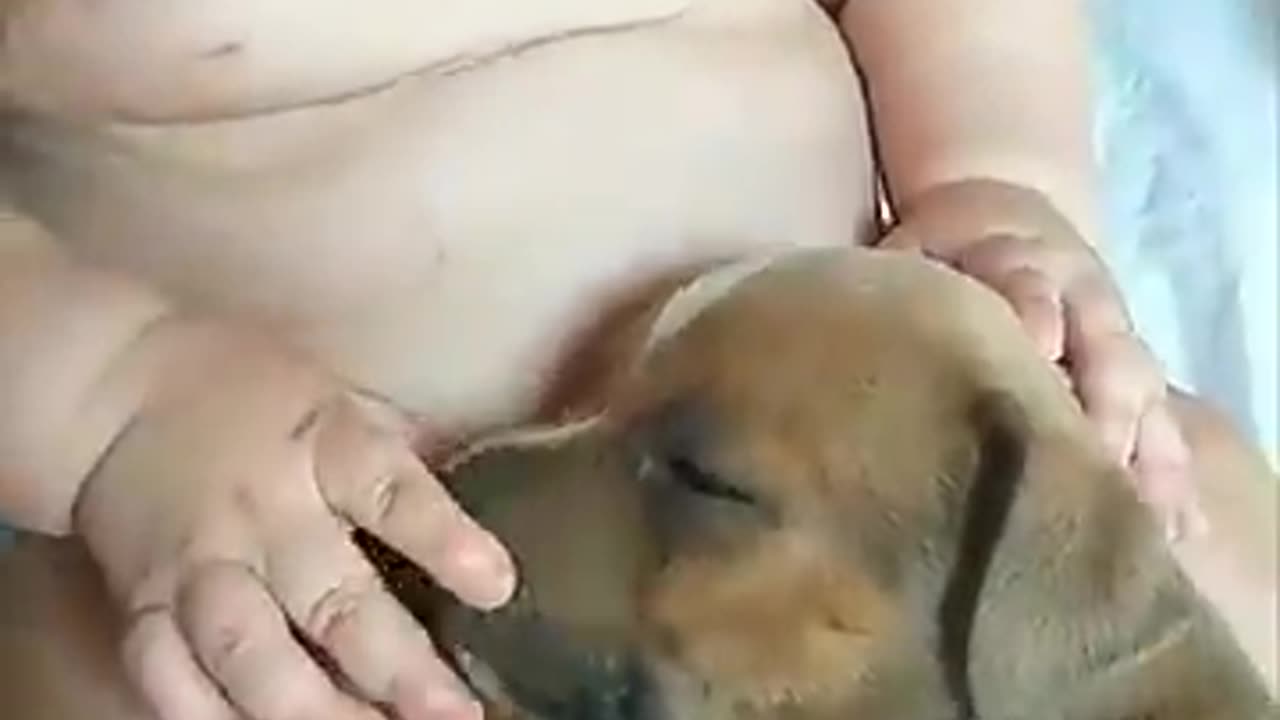 Adorable baby touches sleepy puppy asit lays in his lop