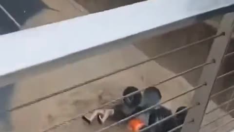 Quad Vs Puddle