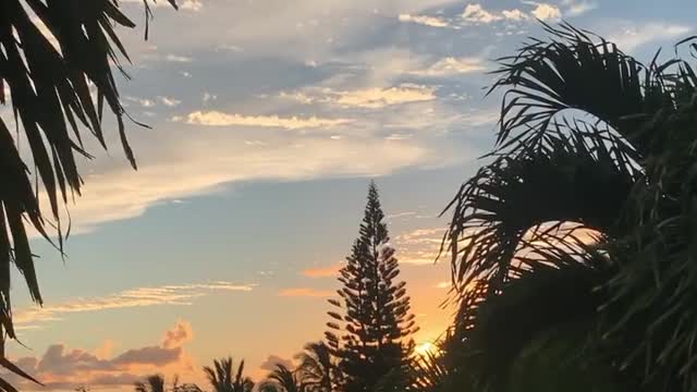 CLOUDS … whimsical, fun formation, some are whispy and some cotton candy kine
