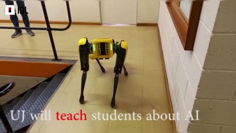 UJ unveils four-legged, animal-mimicking robot with artificial intelligence