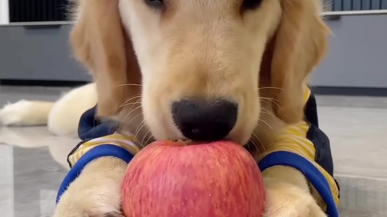 Delicious apples