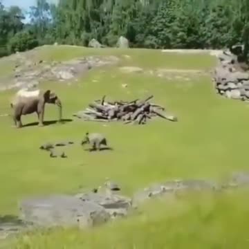 Children, they are children in Africa😂😂😂