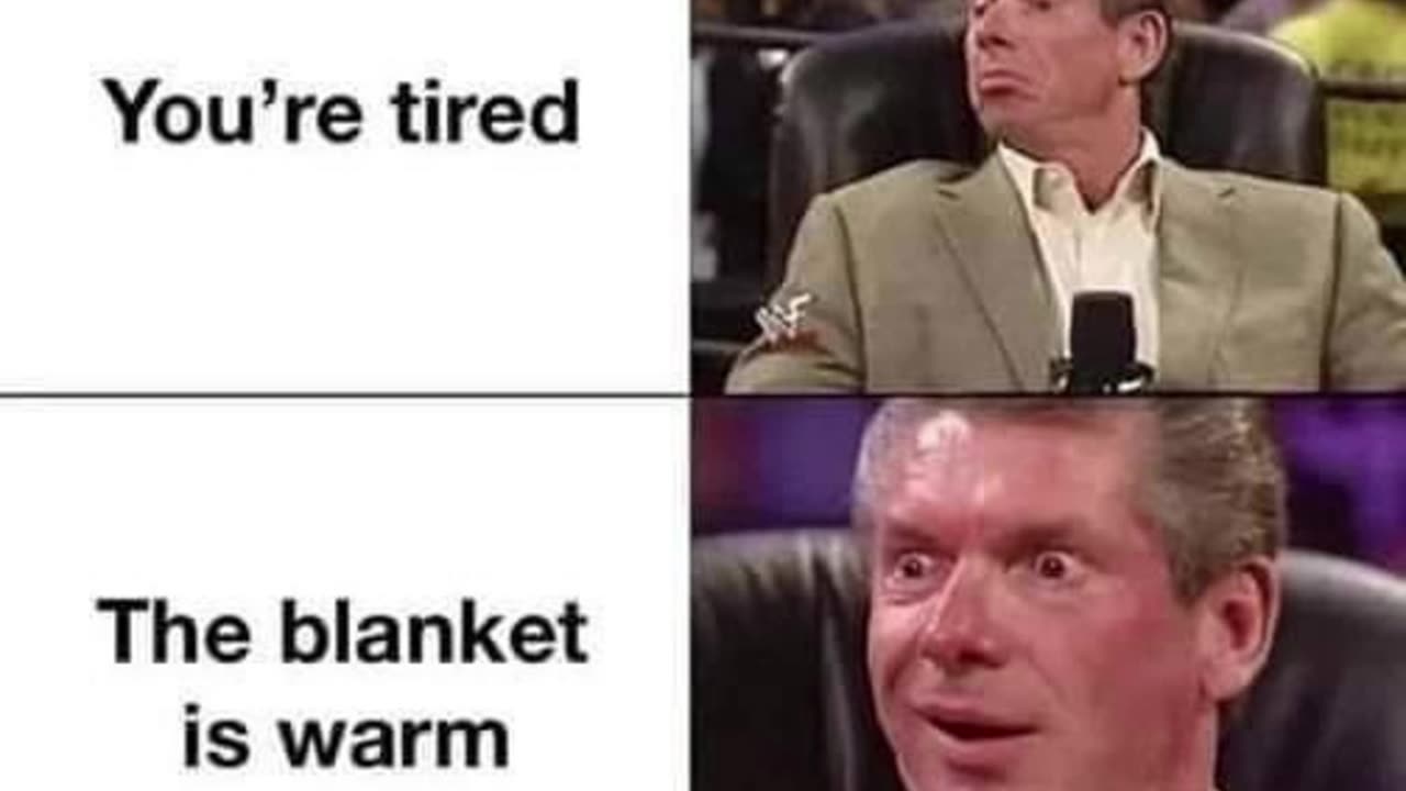 funny memes