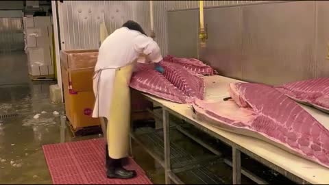 Big Fish Cutting