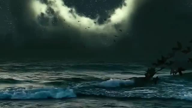Night 🌕... . . 🎥 LovetheNature95