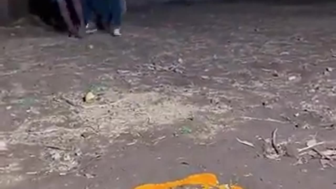 funny video