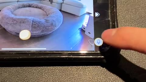 This pet camera 🔥🙌🏼