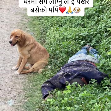 Respect to his owner