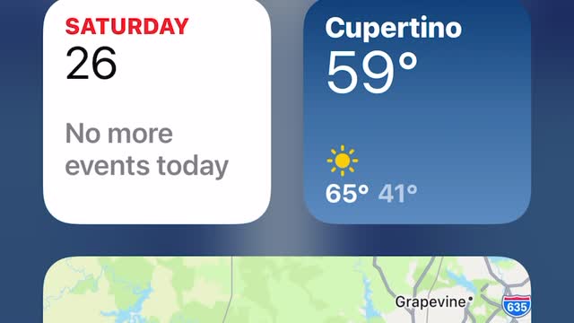 🏘🏘🏘🦁🏘🏘🏘