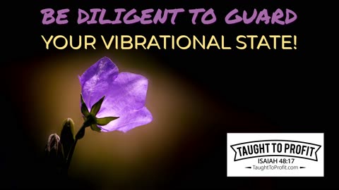 Be Diligent To Guard Your Vibrational State!