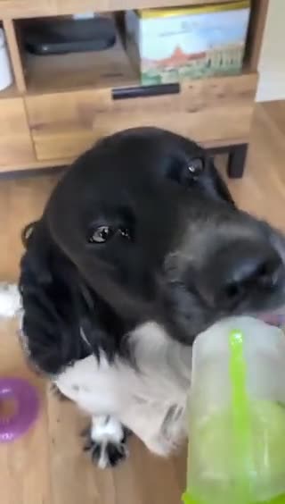 Even our pets love the good life. Check this out!!!