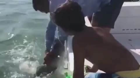 F'n Around With Wildlife & Finding Out