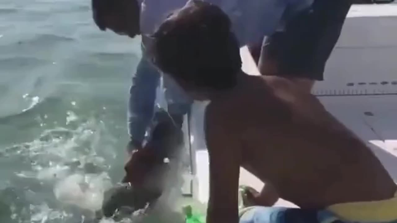 F'n Around With Wildlife & Finding Out