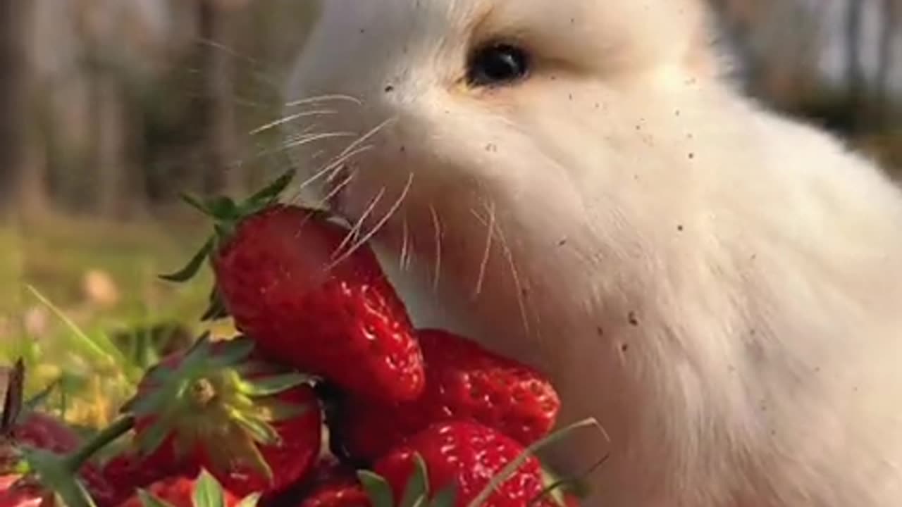 And your today, tomorrow, every day is a little sweet.