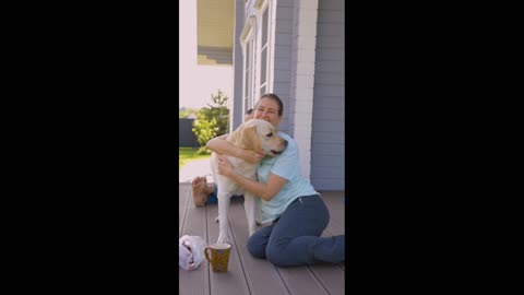 Cute dog funny video