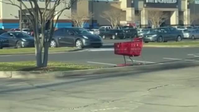 The Blaze (https://www.theblaze.com/news/video-line-of-teslas-wait-to-charge): Louisiana woman