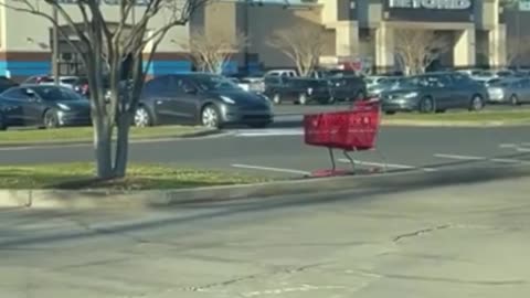 The Blaze (https://www.theblaze.com/news/video-line-of-teslas-wait-to-charge): Louisiana woman