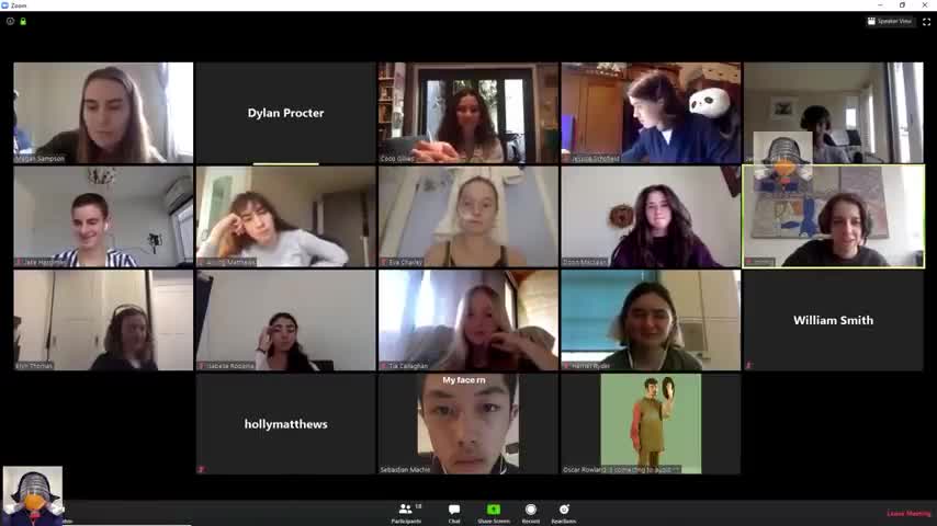 The funny sides of online education