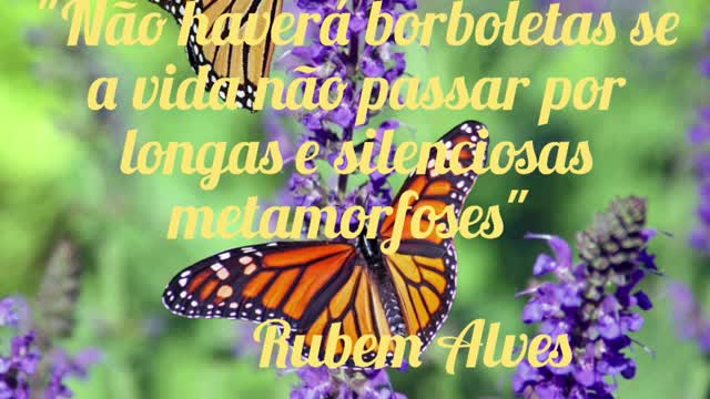 Metamorfoses
