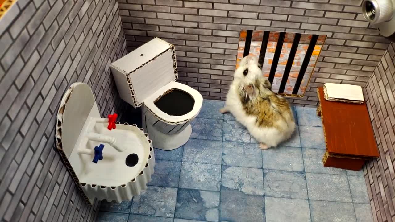 Hamster escapes the awesome maze for Pets in real life in Hamster stories Part 2