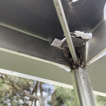 Geo Caching with Crypto Wallets