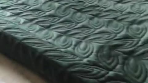 top funny cats videos