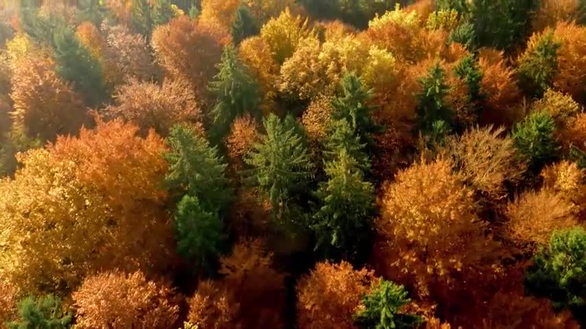 Beautiful Relaxing Music for Stress Relief